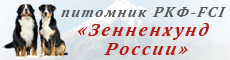 Сайт питомника «Зенненхунд России»
